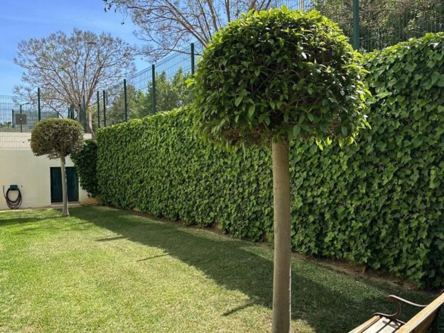 Three Bedroom Apartment, Prime Javea Location Экстерьер фото